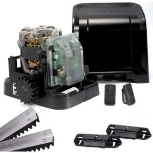 D_656863-MLB83134365147_032025-O